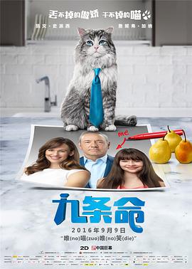 大桥未久52部磁力种子合集